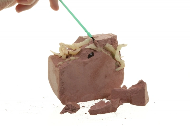 Набор 4M Оживи динозавра. ДНК Трицераптоса (00-07003). Фото 3