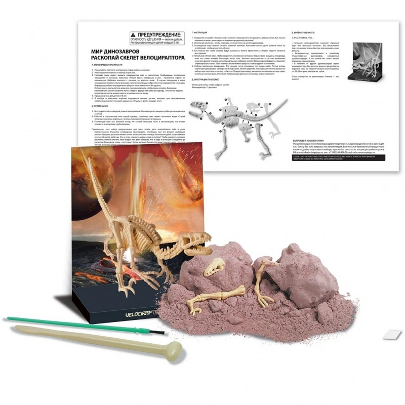 Набор 4M Скелет Велоцираптора (00-13234). Фото 2