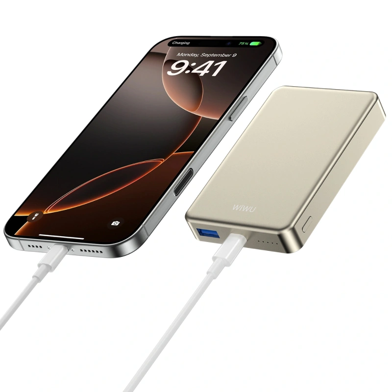 Внешний аккумулятор Wiwu Ultra Thin Magnetic 10000mAh, Gold (Wi-P15-1). Фото 5