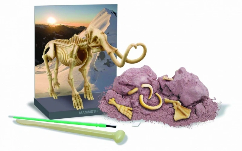 Набор 4M Скелет Мамонта (00-03236). Фото 3
