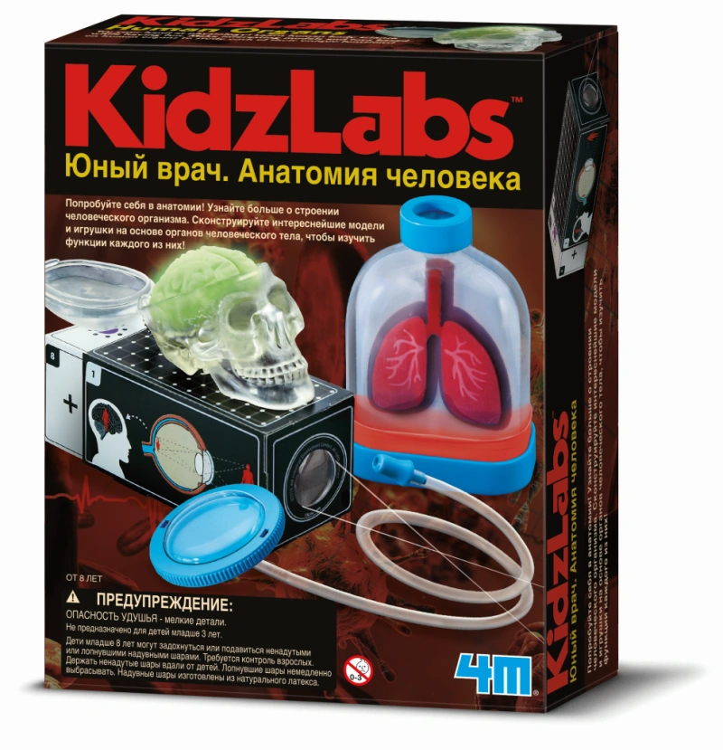 Набор 4M Юный врач. Анатомия человека (00-03374). Фото 1