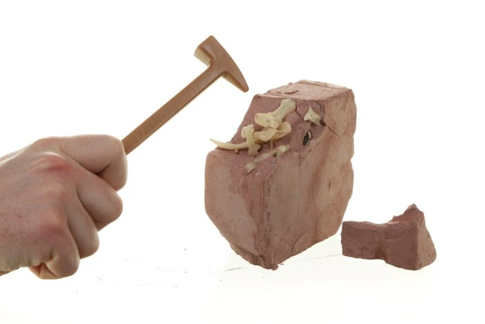 Набор 4M Оживи динозавра. ДНК Тираннозавра 00-07002. Фото 4