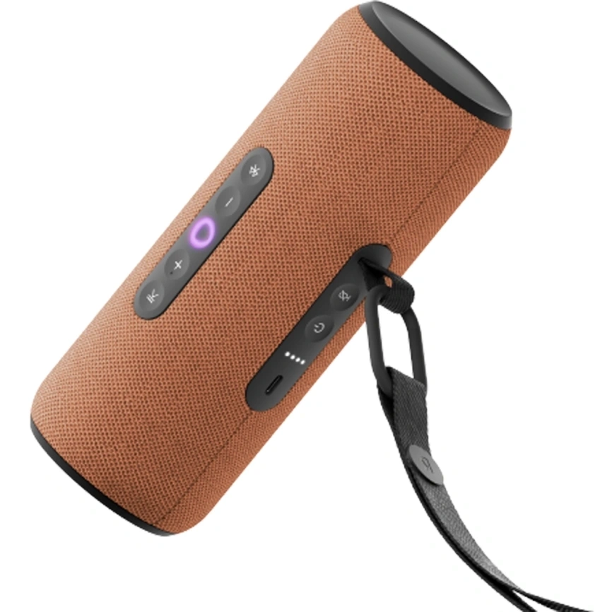 Умная колонка Яндекс Станция Стрит, Оранжевый YNDX-00030ORG. Фото 1