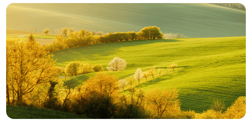 Honor-MagicBook-X16-2026-GOH-X-04